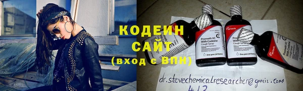 индика Новокубанск