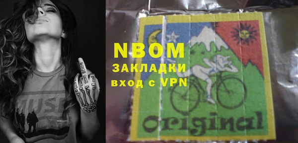 стафф Новозыбков