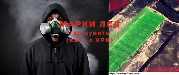 ешки Новодвинск