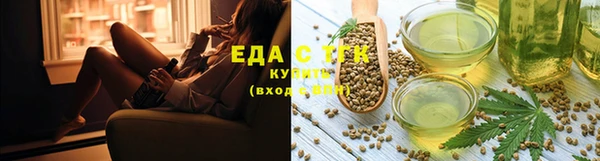 индика Новокубанск