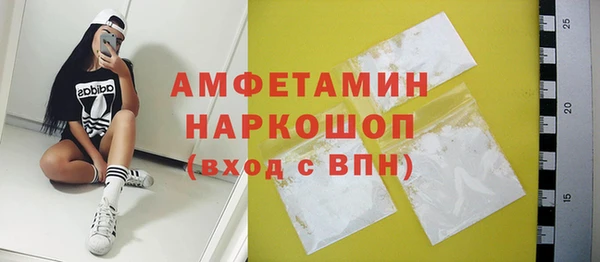 стафф Новозыбков