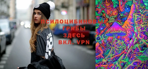 спиды Няндома