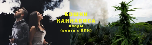 ешки Новодвинск