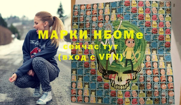ешки Новодвинск
