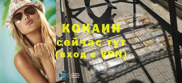 ешки Новодвинск