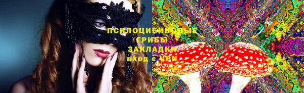 стафф Новозыбков