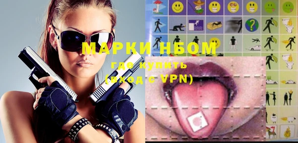индика Новокубанск