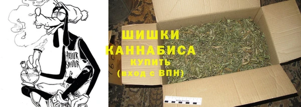 стафф Новозыбков