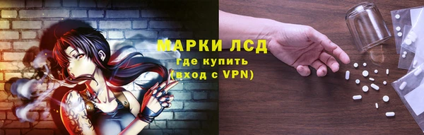 стафф Новозыбков