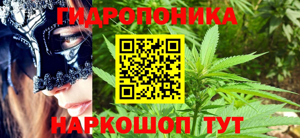 Шишки марихуана Bruce Banner  Киров  Канабис планчик  Конопля SATIVA & INDICA 